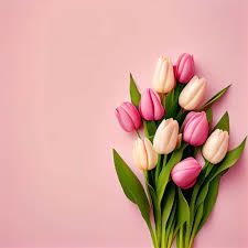 Tulip Mania by BloomNation™ - Send a selection of tulips to somebody you have unconditional love for! Always treasured and appreciated, Tulips have a rich history and are loved by all making them a fan favorite for Mother's Day. They also are a great option for celebrating an anniversary or just because. 