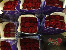 Boxes of red roses wrapped in purple packaging