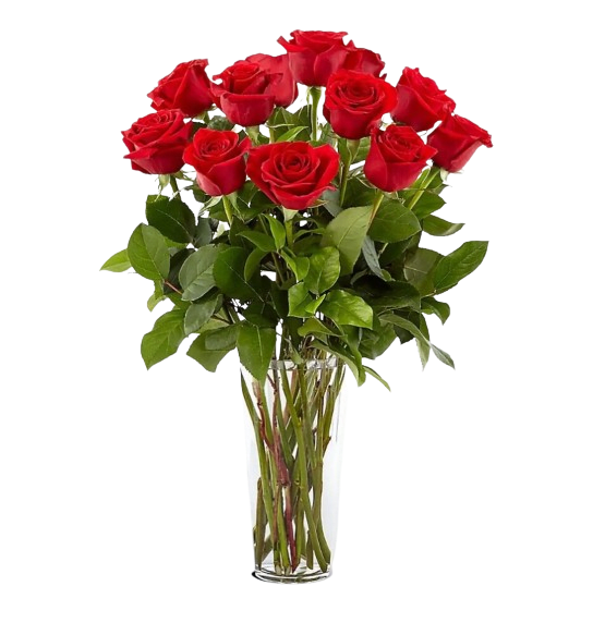 Red roses in a clear glass vase