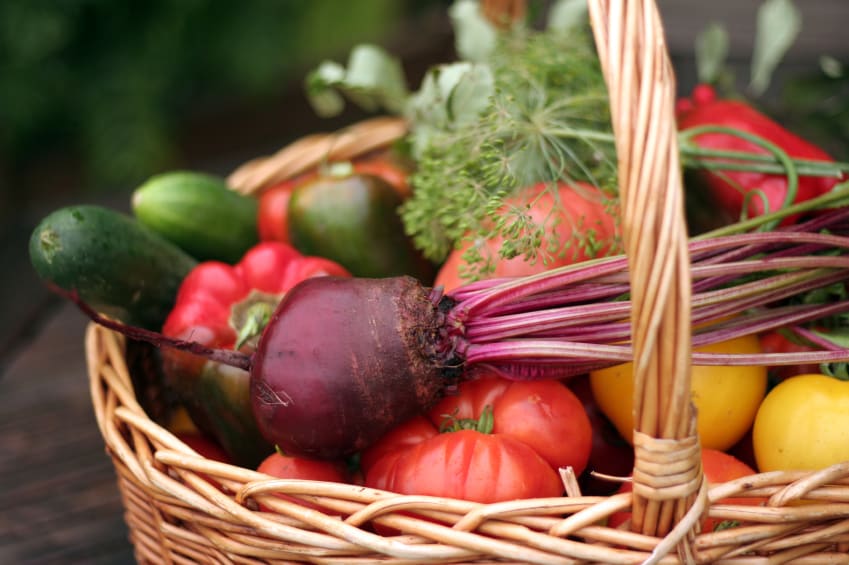 Basket of assorted vegetables including beets, tomatoes, peppers, and cucumbers