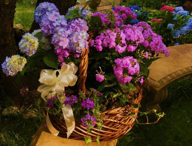 Seet Floral Basket - Pretty mix of hydrangea and accent flowers.