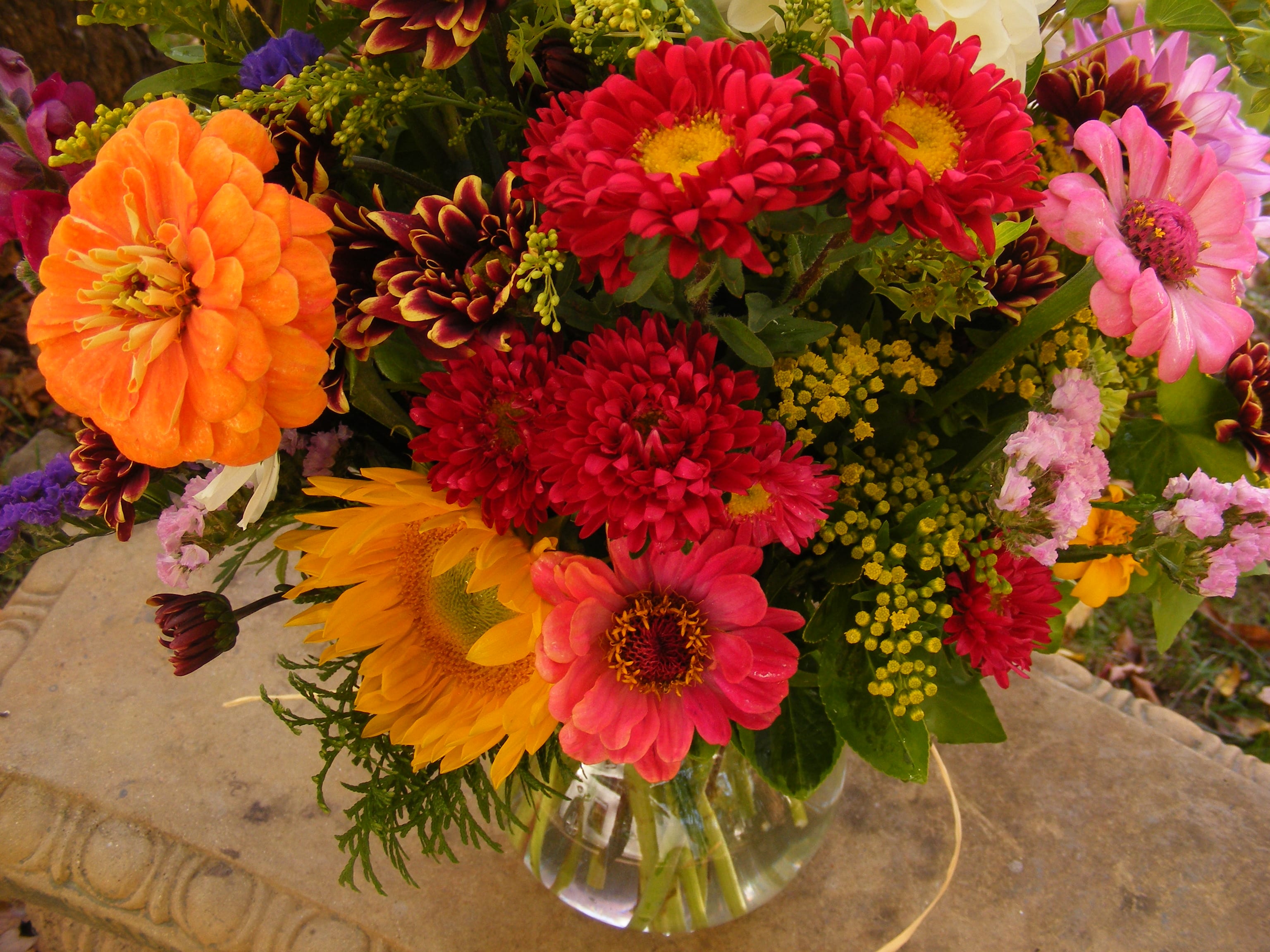 Color! - Lively Florals to Brighten Your Day!