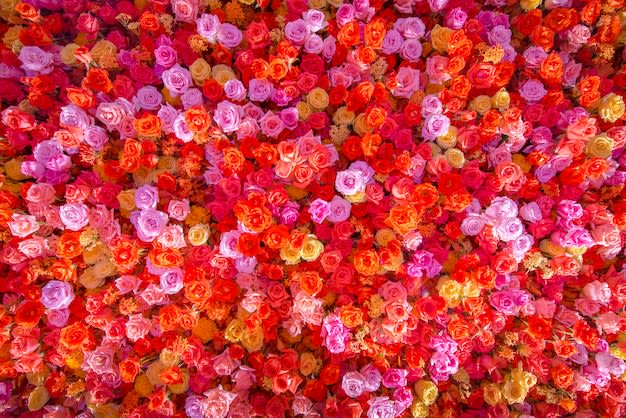 Dense wall of multicolored roses in pink, red, orange, and lavender