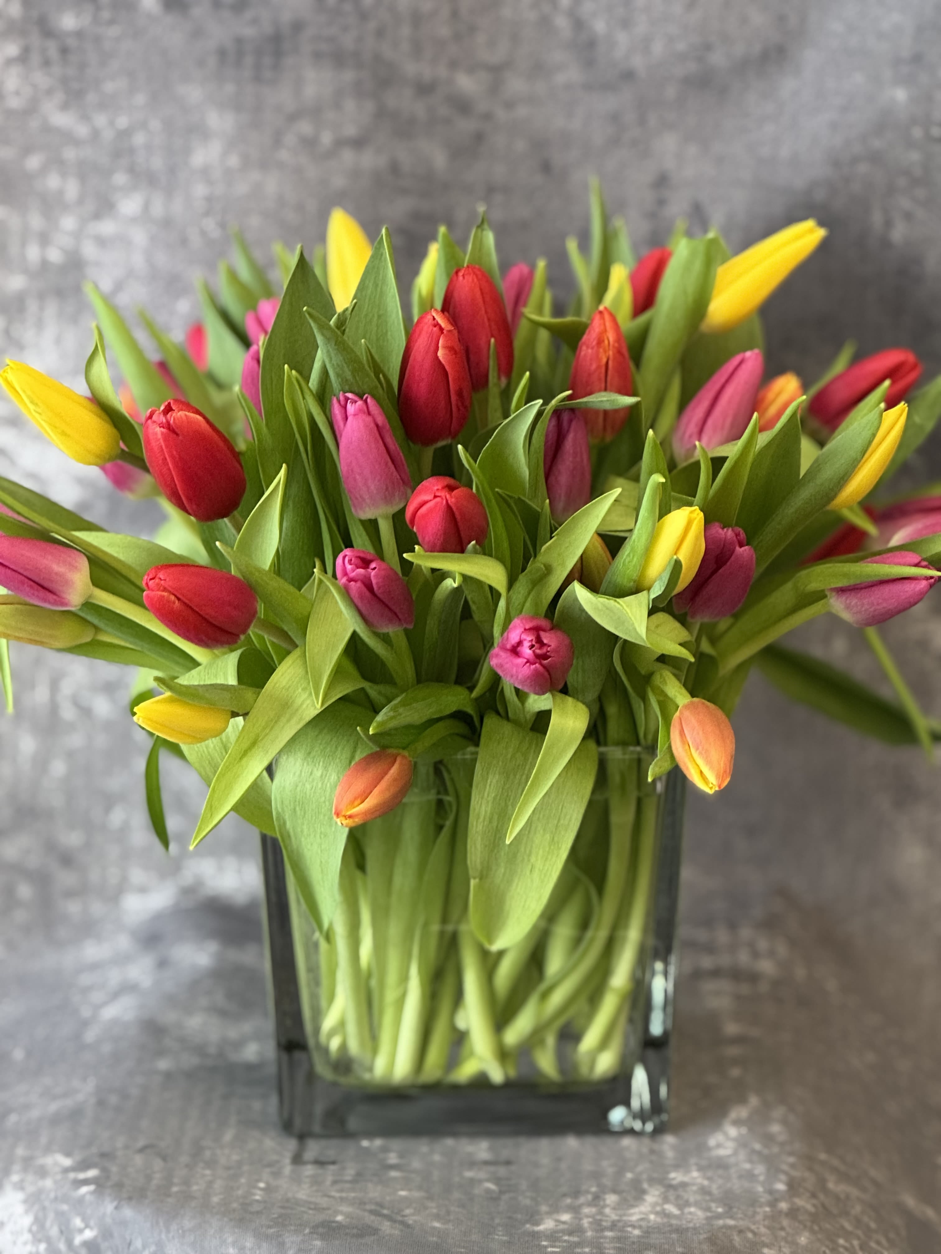 Colorful tulips arranged in a square glass vase