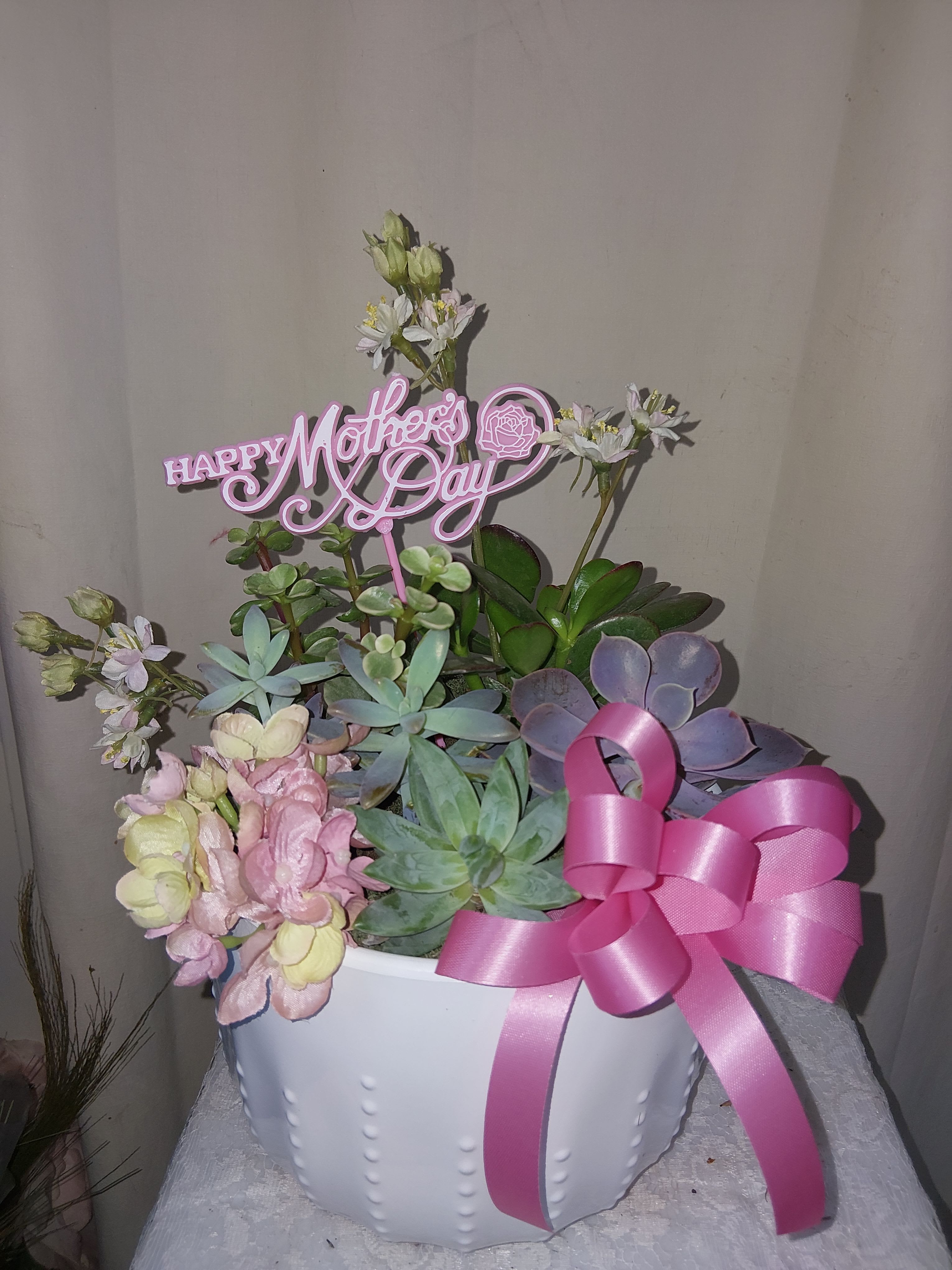 Succulent dish garden  - Add something fresh to your décor or send a thoughtful gift of beautiful succulents