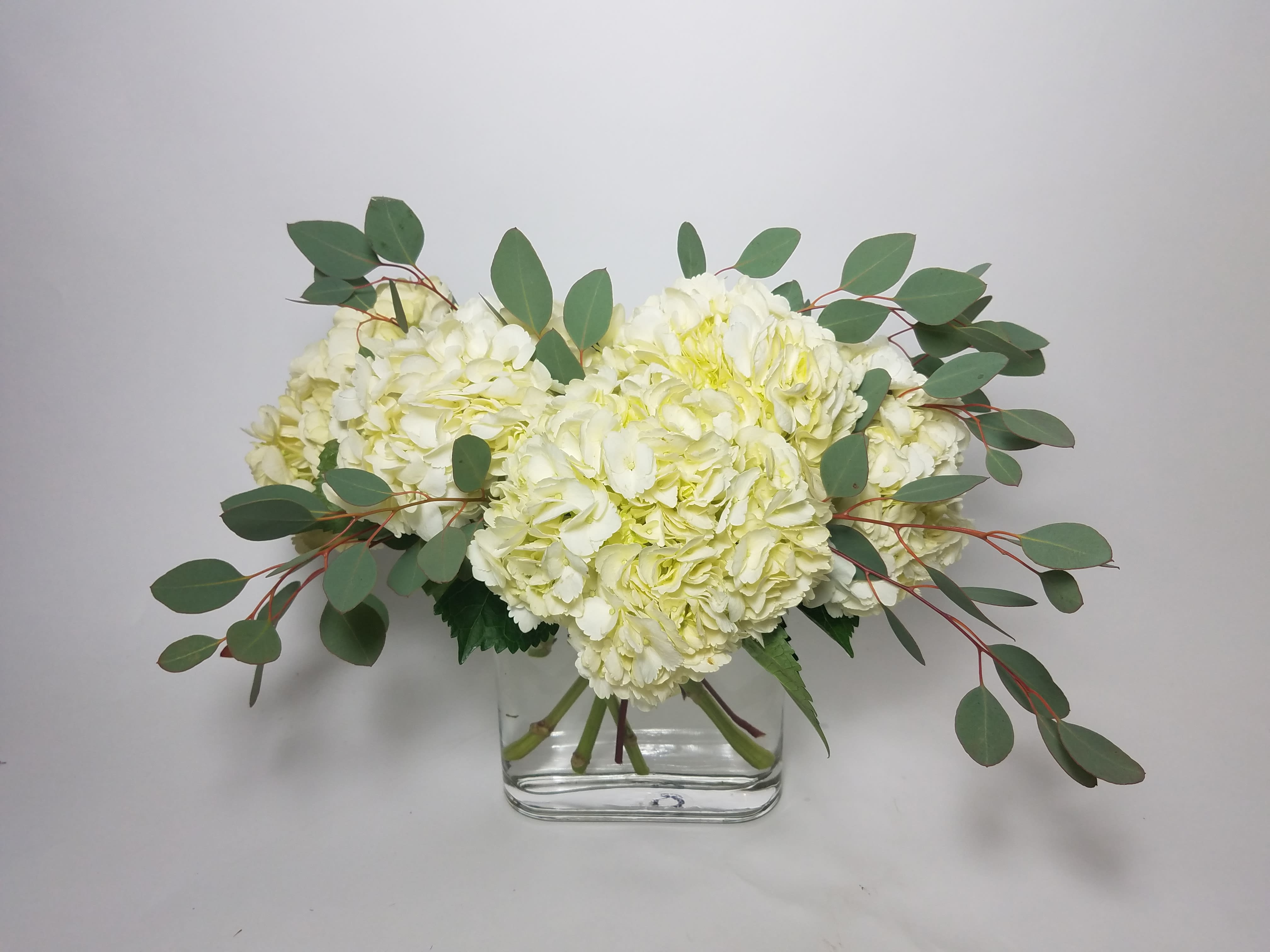 White hydrangea arrangement in a clear glass vase with eucalyptus