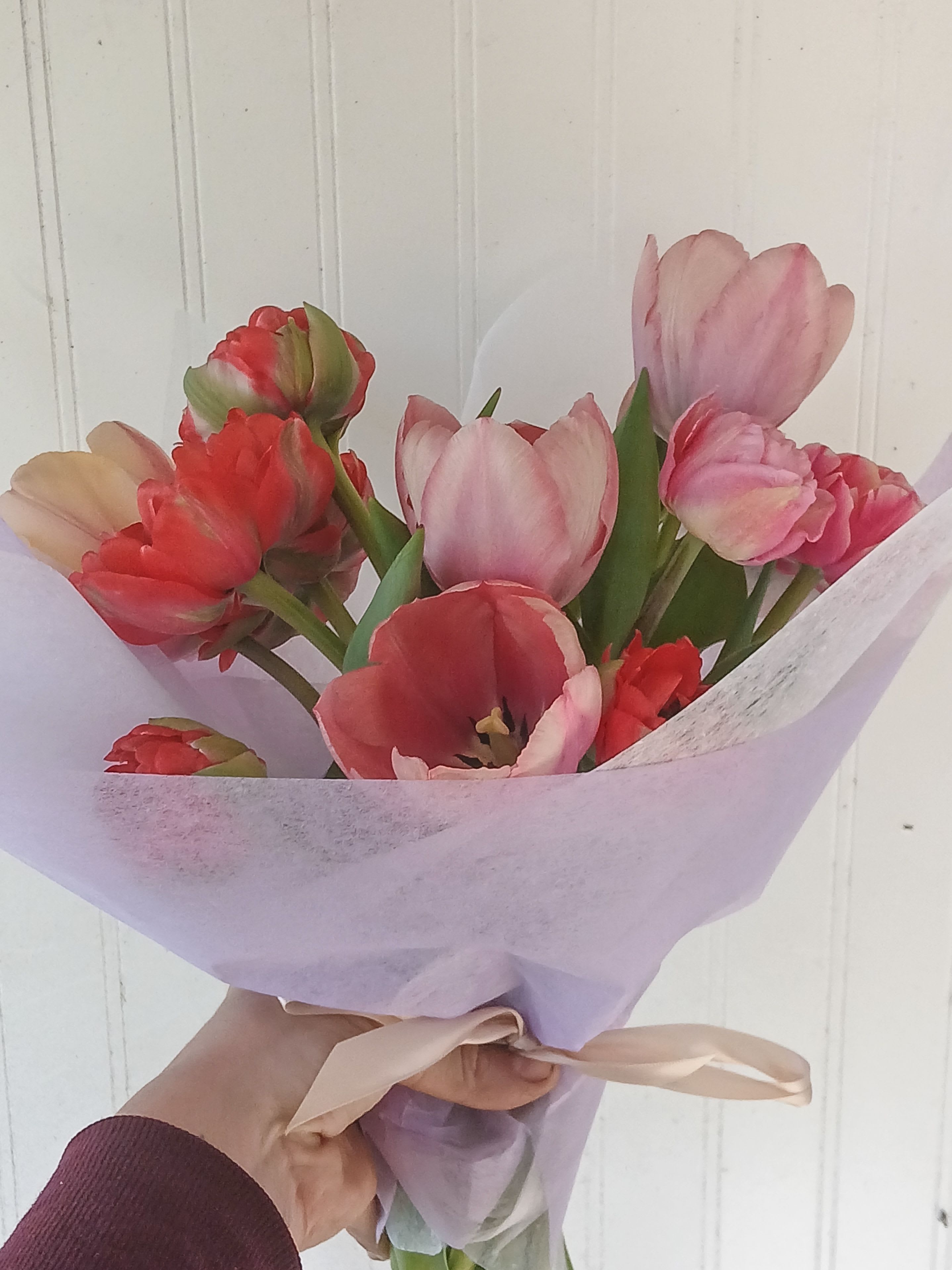 Bouquet of pink and red tulips wrapped in lavender paper