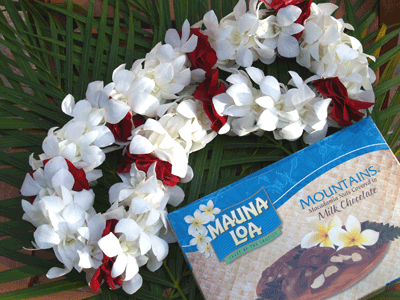 White and red flower lei beside a box of chocolate cake mix