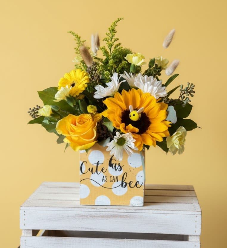 Cute as can Bee - Bask in the happiness and playfulness of our “Cute as Can Bee” arrangement,  collection of flowers that captures the essence of a cheerful summer day garden. Filled with white and yellow flowers, sure to pit a smile on their face. approx dimensions 12X12