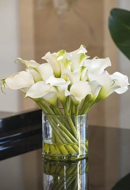 Pure Elegance- Calla Lily's - Elegant bouquet of calla lilies in a glass vase.  Calla lilies represent, beauty, purity and elegance.