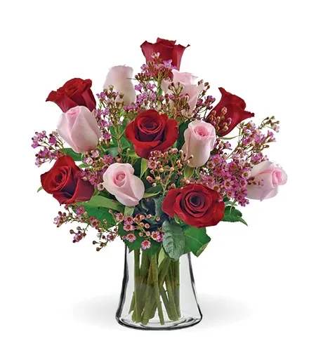 Shades of Pink and Red - Premium Long Stem Roses - Product ID: 91457  They'll be blushing for sure when our beautiful bouquet of pink and red long-stem roses arrives! Hand-gathered by our expert florists in a rich red vase, we can't think of a more colorful way to express yourself to someone very special. This gorgeous bouquet of premium long-stem pink and red roses is accented by fresh waxflower and salal, and artfully arranged by our expert florists. Premium Arrangement has 24 roses, Deluxe has 18 stems, and Standard has 12 stems. Our florists select the freshest flowers available, so colors and varieties may vary.