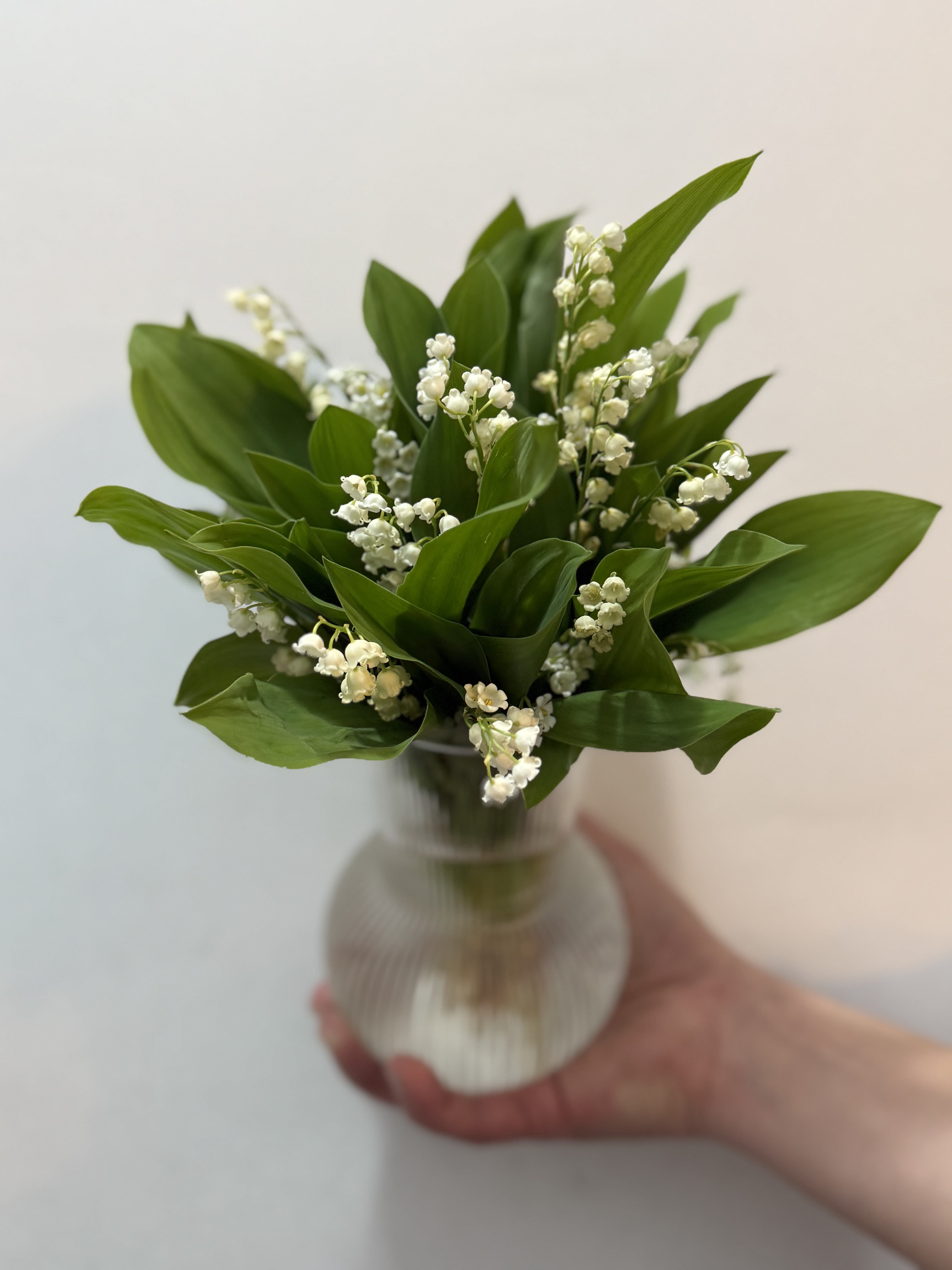 lilies of the valley - A bouquet of incredibly fragrant lilies of the valley in a vase. An exceptional spring flower available to order at short notice. For those who appreciate beauty and elegance.