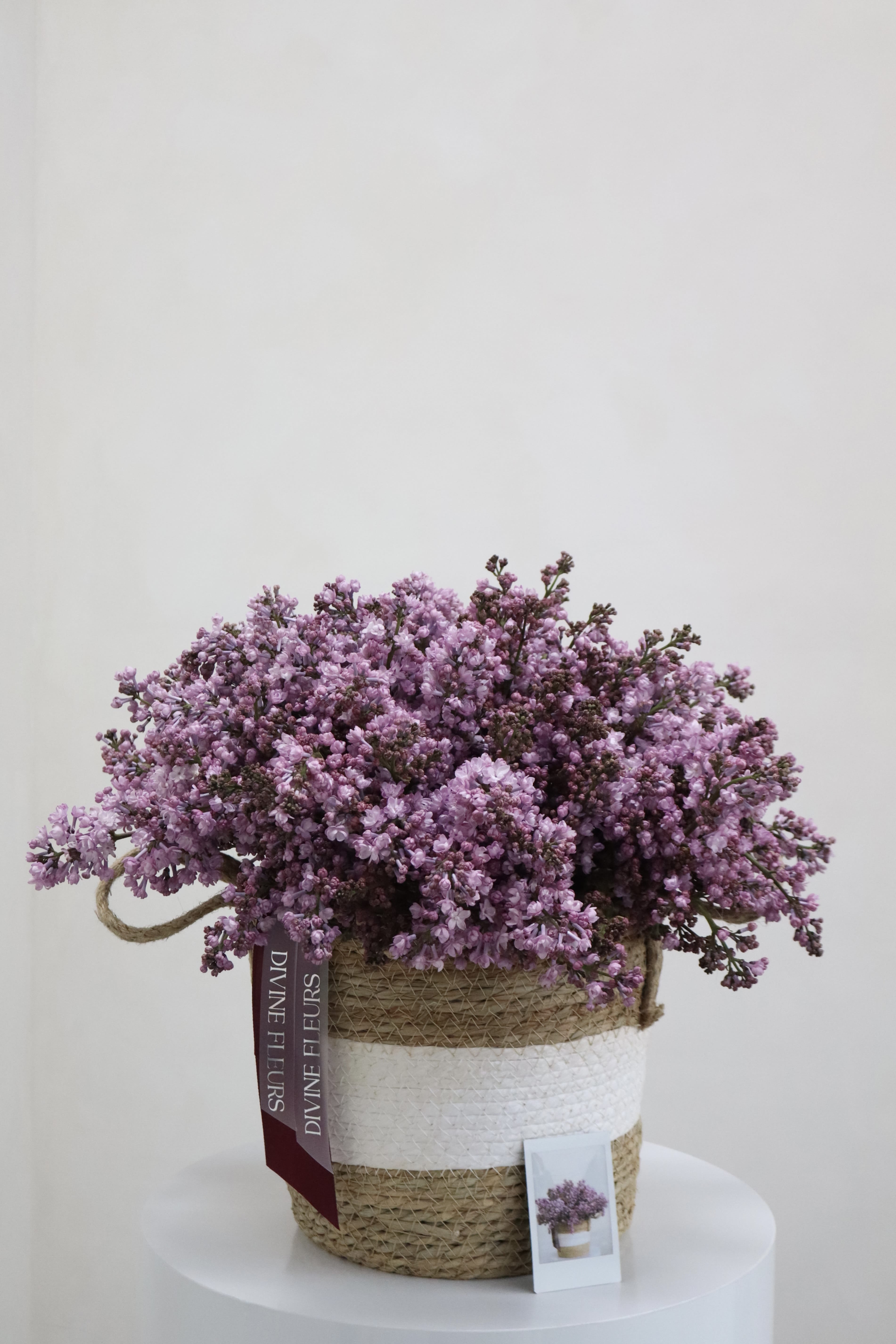 Violet Dreams - A beautifully handcrafted floral arrangement featuring delicate lilac blooms, thoughtfully designed to bring elegance and warmth to any occasion. Styled in a charming woven basket, this arrangement adds a natural and timeless touch to homes, celebrations, gifts, or special moments. Fresh, graceful, and effortlessly elegant. 