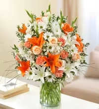 Citrus Spiked - Florist Choice Arrangement  - Bright bursts of orange lilies give this florist-choice arrangement a sunny, energetic presence that makes it perfect as a birthday bouquet, congratulations gift, or a cheerful get well arrangement. The mix of orange, peach and white flowers reads joyful and fresh-ideal for the person you want to brighten today with a confident, uplifting floral statement.  This citrus-toned display combines bold orange lilies with soft peach roses and carnations, plus white daisies and small white filler blooms for contrast and texture. Stems are gathered in a clear glass cylinder vase for a clean, modern look that suits a dining table, office desk, or bedside table. The rounded, full shape ensures visual impact from every angle while keeping a neat, classic profile.  Choose this arrangement when you want the recipient to feel genuinely celebrated and noticed-whether it's for a milestone, a speedy recovery, or simply because they deserve a bright moment. Delivered ready to display, the arrangement comes in the pictured clear glass vase; trim stems and refresh water every few days to help blooms stay vibrant longer.