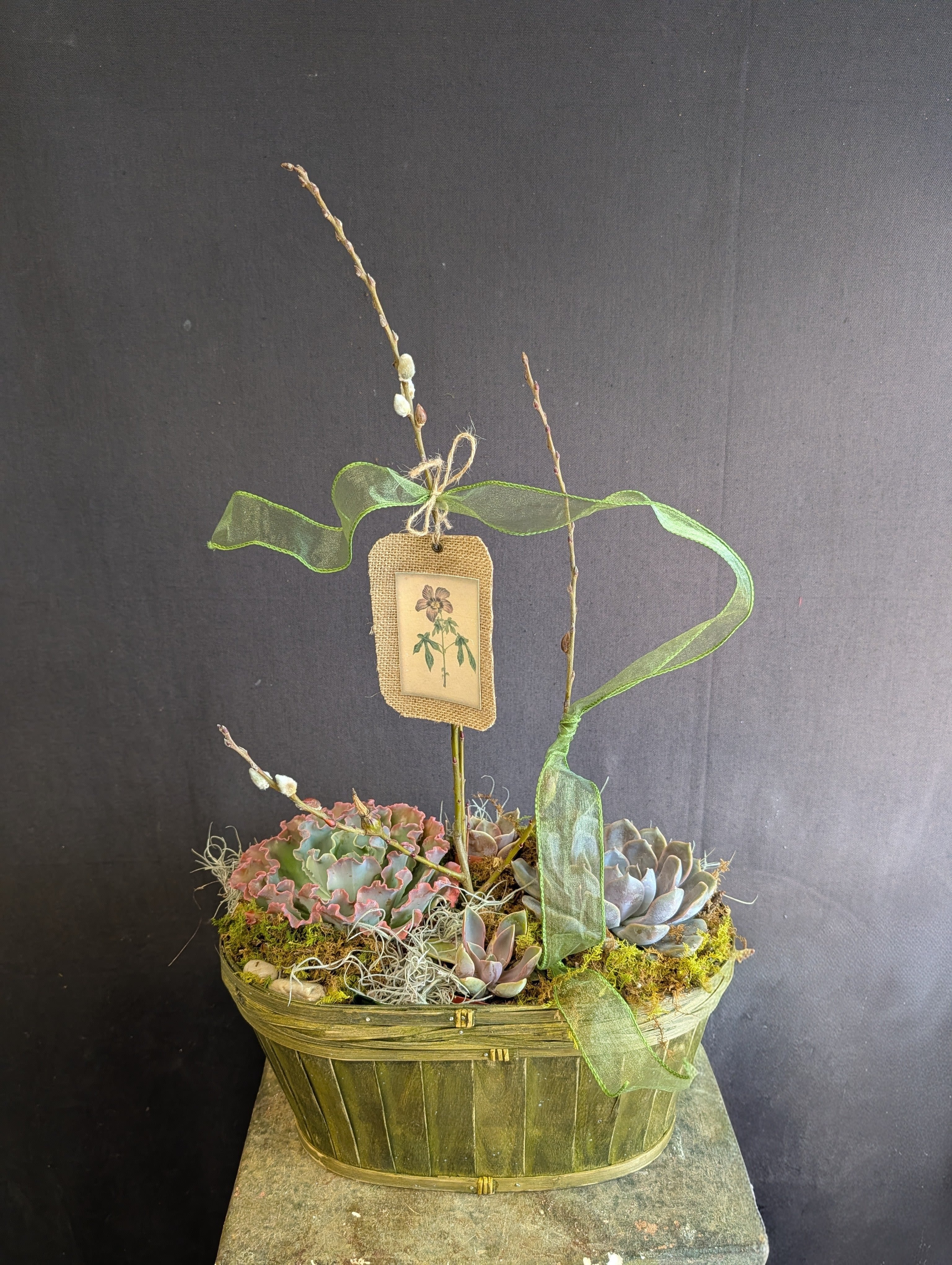 Rustic Succulent Garden - Inspired by the natural elegance of the desert, this gorgeous succulent garden in a rustic wood container is a lovely, long-lasting addition to any room! 