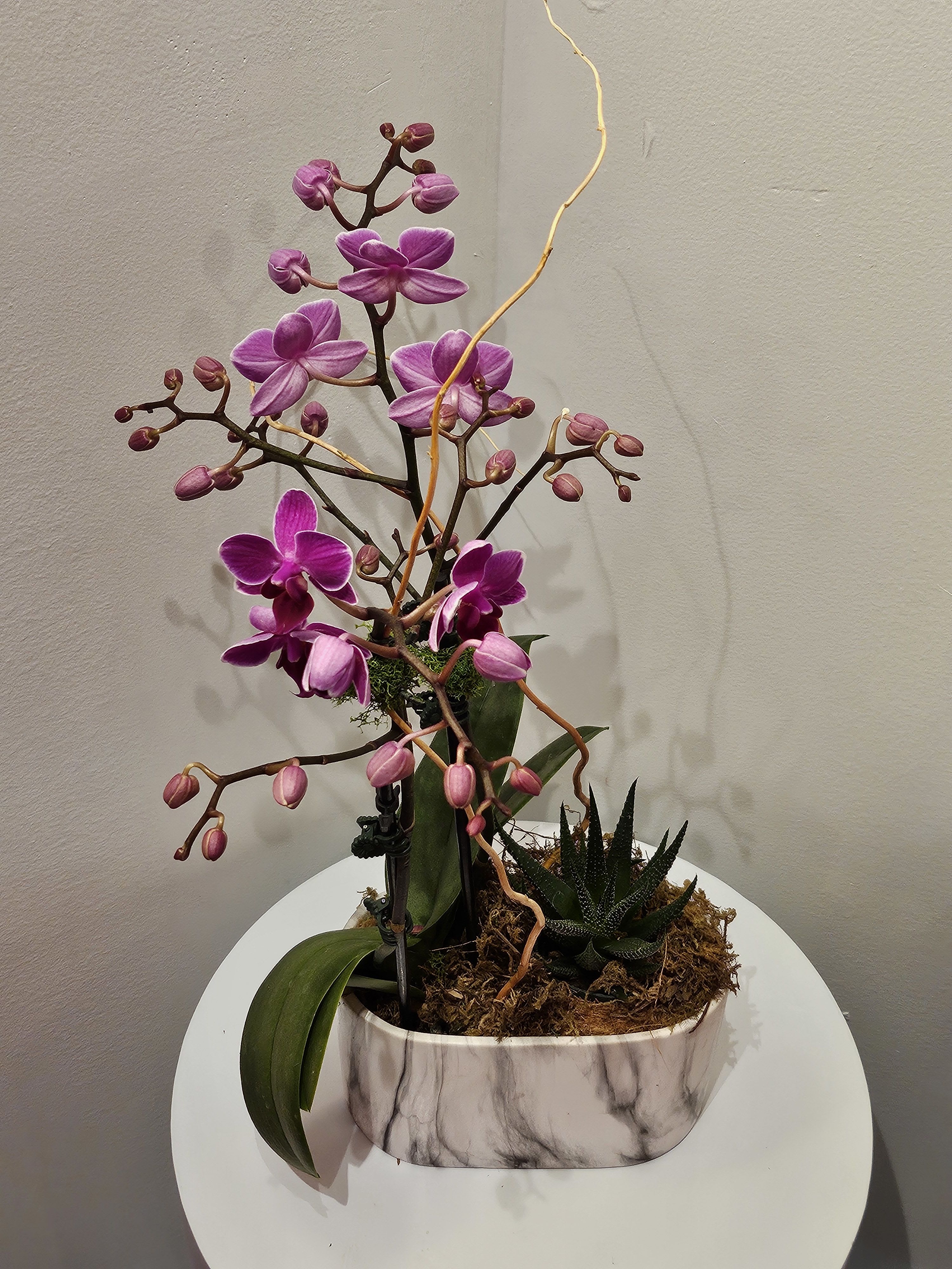 Purple orchid arrangement in a marble-look planter with a small succulent