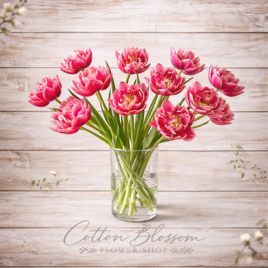 Tip Toe through the Tulips - Tiptoe Through the Tulips    Soft, elegant, and full of charm, Tiptoe Through the Tulips is a timeless bouquet that celebrates beauty in its simplest form.    This stunning arrangement features fresh-cut pink tulips gracefully arranged in a clear glass vase, allowing their natural movement and delicate blooms to shine. Tulips symbolize love, happiness, and new beginnings, making this bouquet a perfect choice for birthdays, anniversaries, get well wishes, or simply brightening someone’s day.    With their soft color and effortless elegance, these tulips bring a fresh, garden-inspired feel to any space.    Size Options:  • Standard – 10 tulips  • Deluxe – 20 tulips for a fuller, more abundant look  • Premium – 30 tulips for a lush, breathtaking presentation    Hand-arranged in Cotton Blossom Flower Shop’s signature style using premium fresh blooms, this bouquet is simple, sophisticated, and always in style.    Cotton Blossom Flower Shop proudly offers same-day flower delivery in Maricopa, Casa Grande, and Stanfield, Arizona. Order online today and send a touch of fresh elegance from your trusted local Maricopa florist.