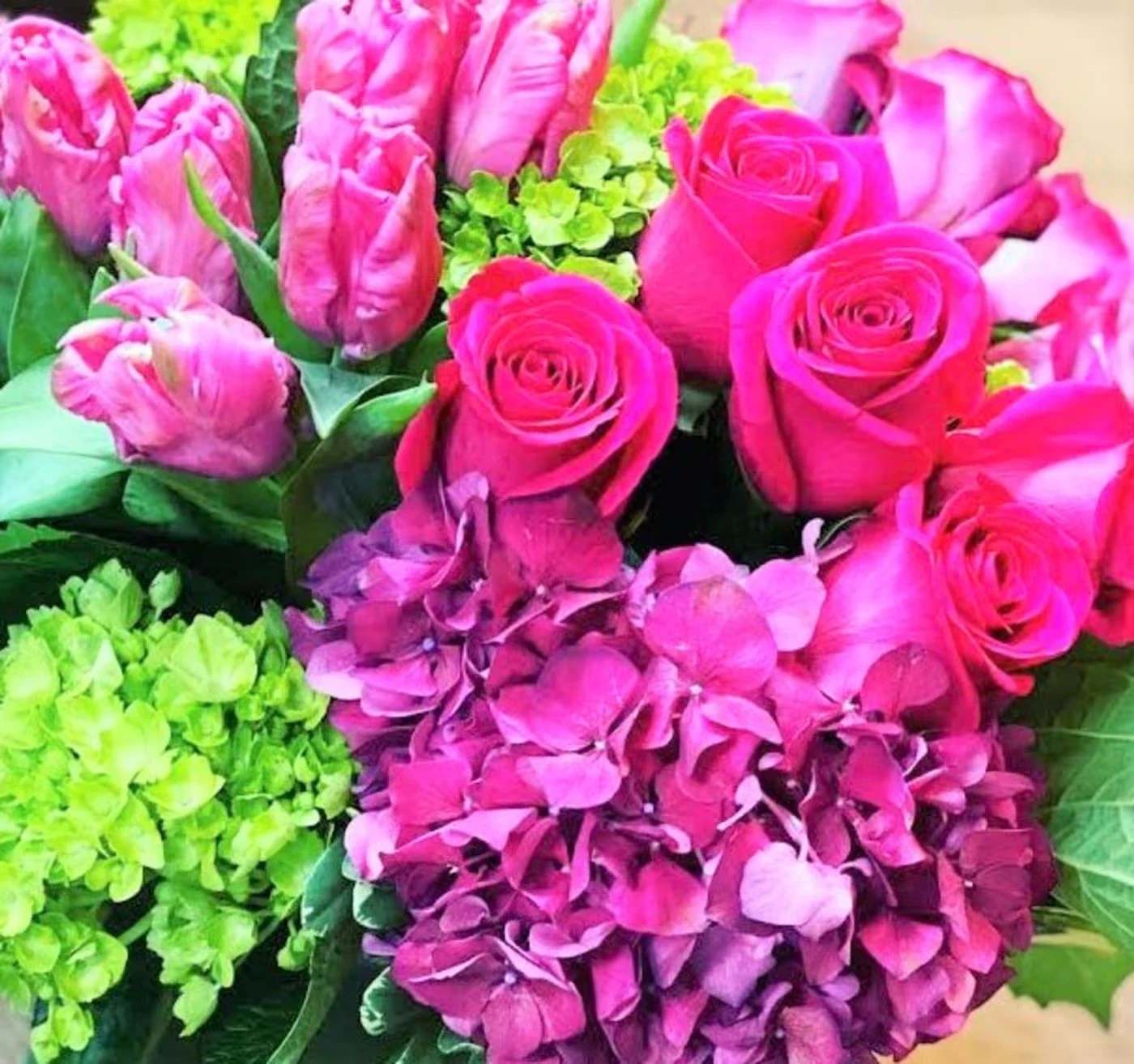 Bright arrangement of hot pink roses, tulips, and hydrangeas with lime green hydrangea accents