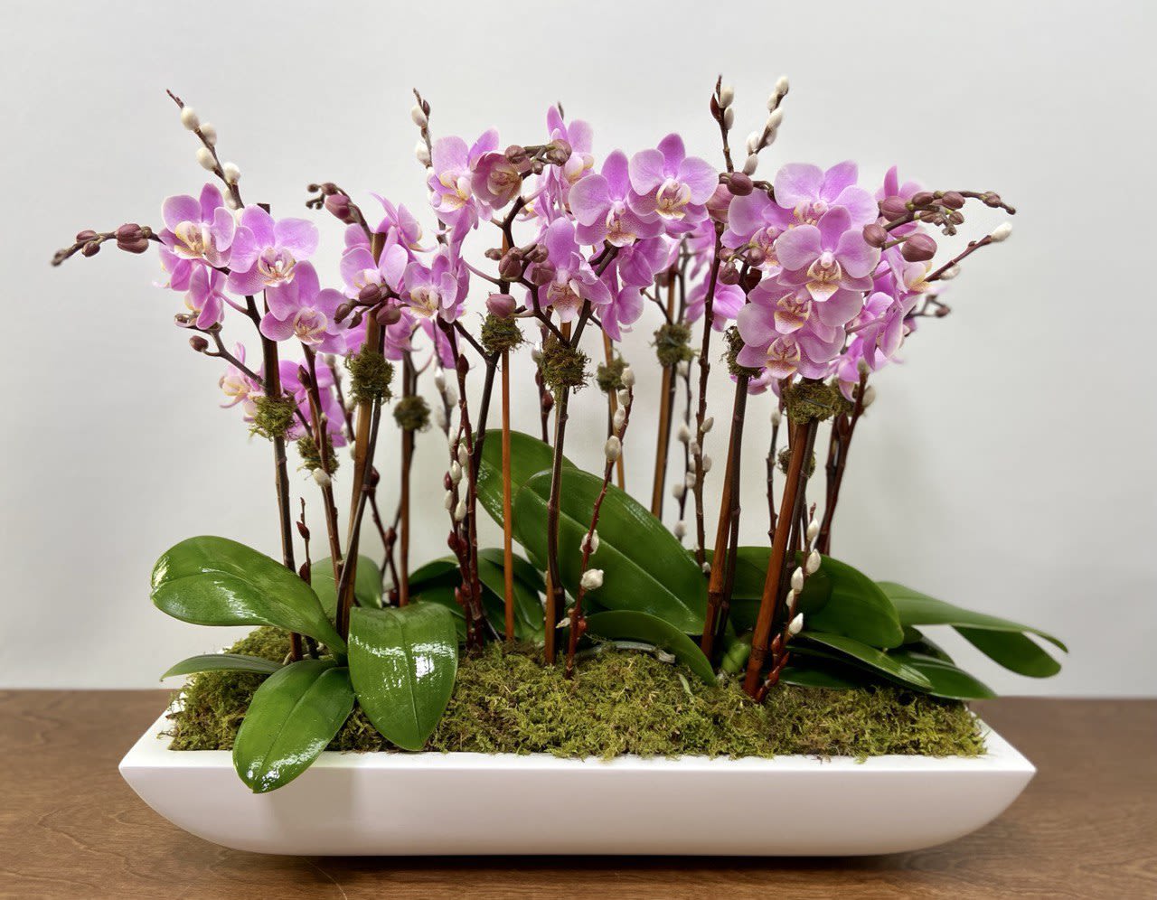 Pink orchids arranged in a white rectangular planter with moss
