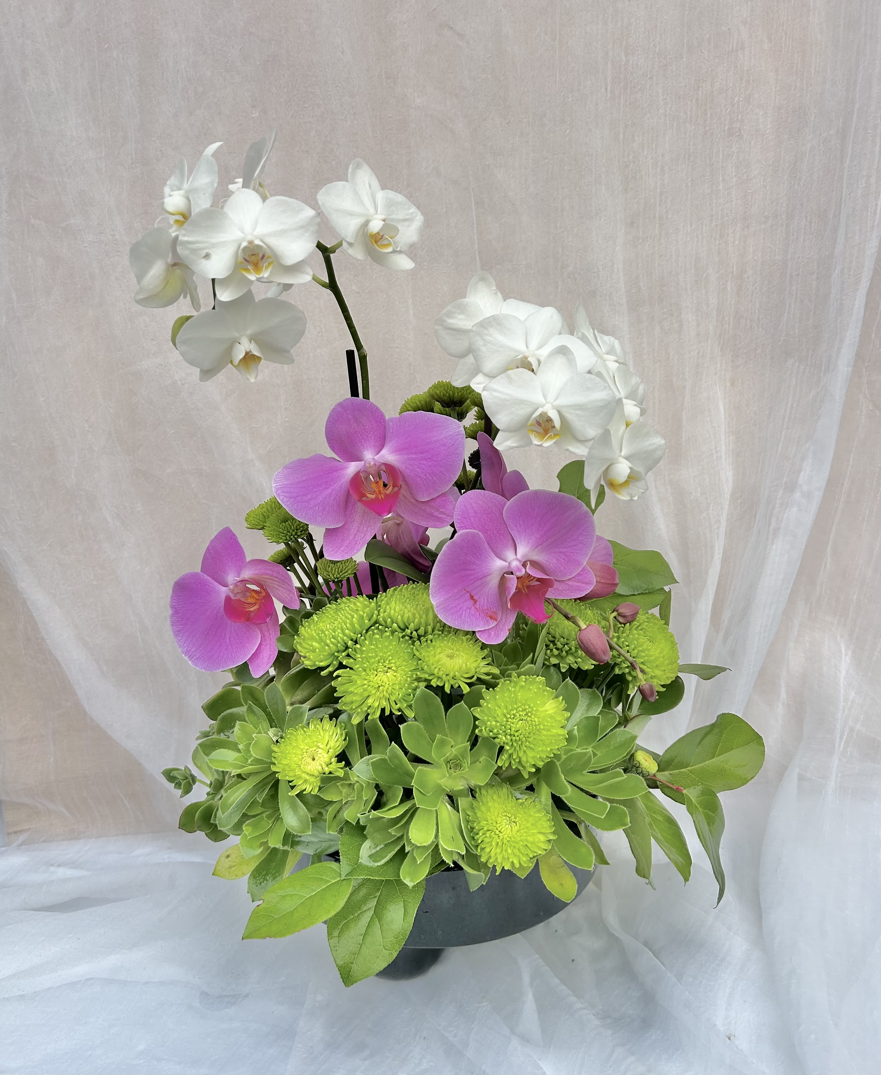 Serene - Beautiful arrangement featuring white and purple orchids, and green succulents.