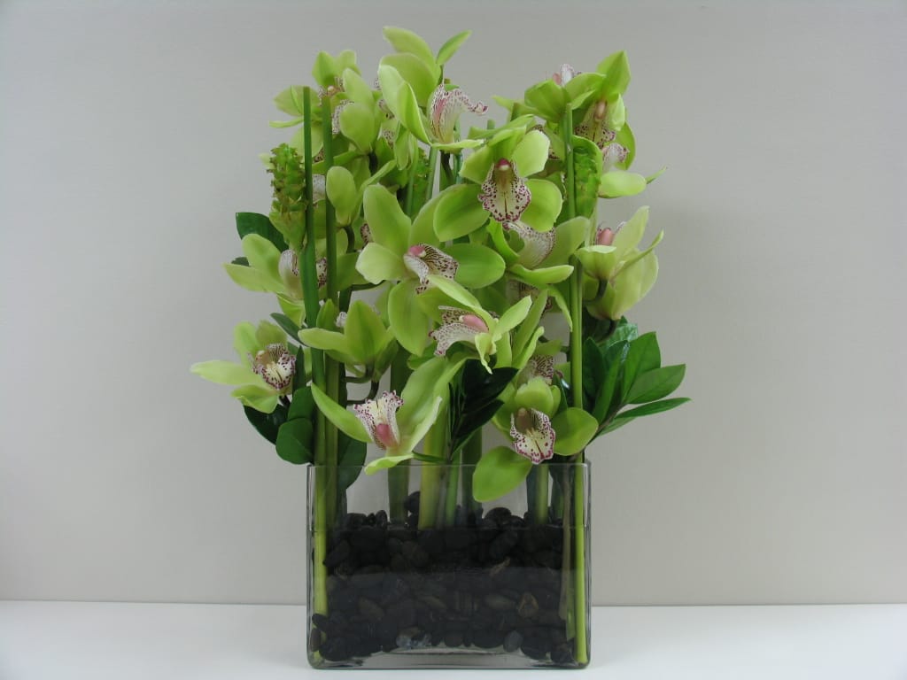 Green orchid stems arranged in a clear square vase with black stones
