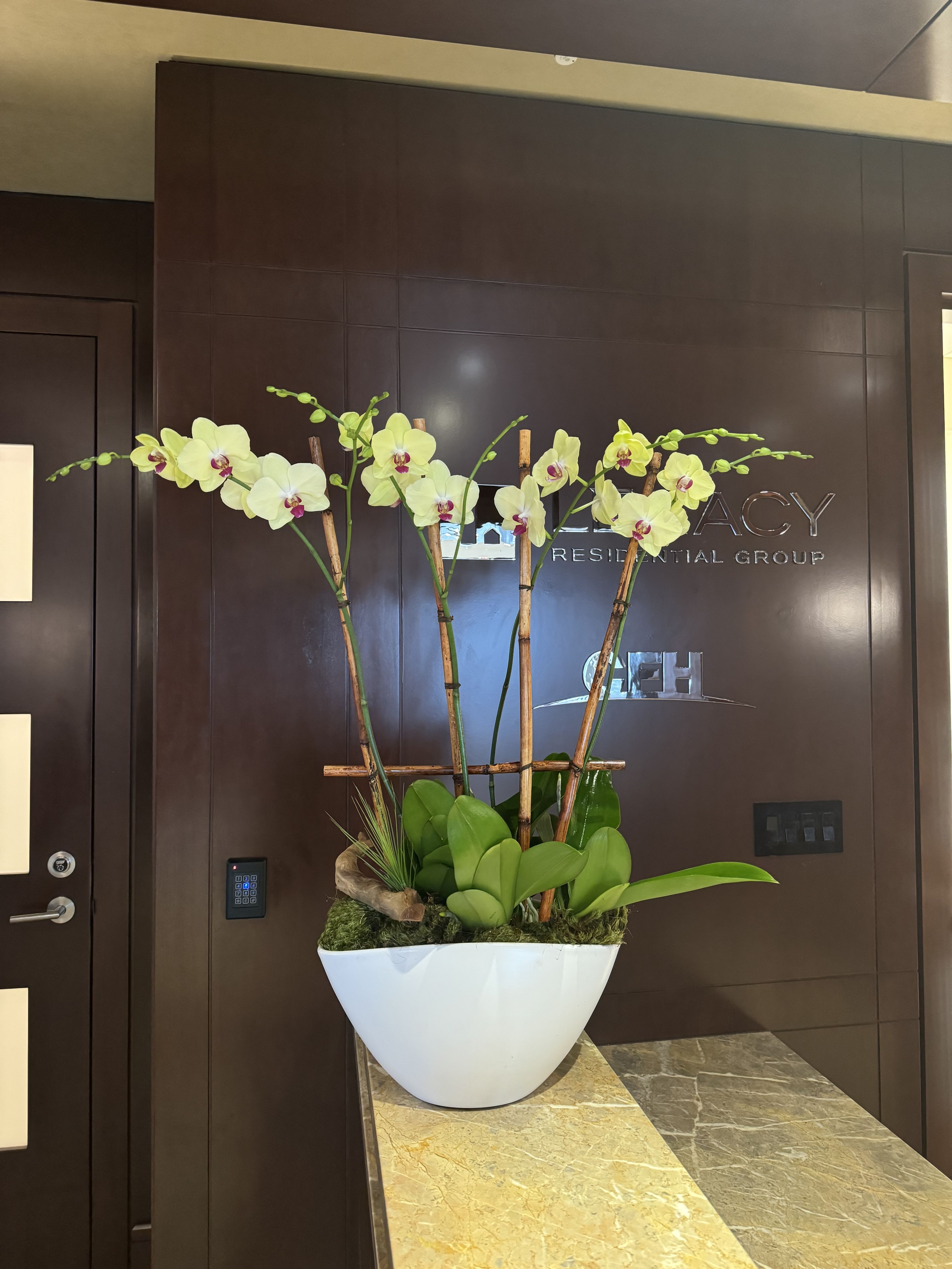Tall orchid arrangement in a white planter