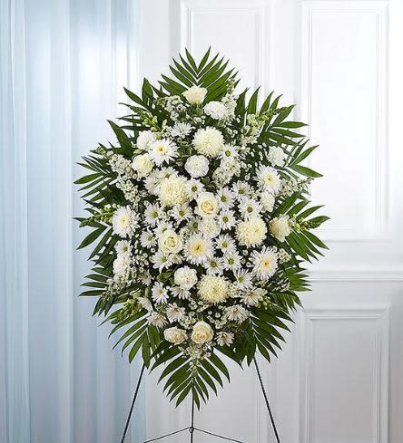 White Standing Spray -  Pet Friendly? No - This arrangement contains Chrysanthemums (Mums and Daisies), which are toxic to dogs and cats if ingested. To ensure the safety of household pets, keep this tribute on its stand and away from curious animals.   Human Allergy Note : This arrangement is pollen-heavy due to the high volume of Daisies, Mums, and Asters. If displaying indoors, ensure the room is well-ventilated and keep the flowers away from high-traffic seating areas to minimize irritation.   Care &amp; Longevity : Since these blooms are tucked into floral foam, they require consistent hydration. Lightly pour fresh water into the center of the foam daily and mist the petals to maintain crispness.  Keep the spray away from direct sunlight, heating vents, or outdoor drafts to prevent premature wilting.   Best Occasions &amp; Situations : - Funeral services - Celebration of life - Memorial heights/church altars - Graveside tributes - Expressions of deep sympathy   Why Customers Love It : - Stunning scale and visibility for large memorial venues. - Timeless white-on-green palette that symbolizes purity and peace. - Full, lush appearance created by the variety of multi-petaled mums. - Sturdy easel display that arrives ready for the service.
