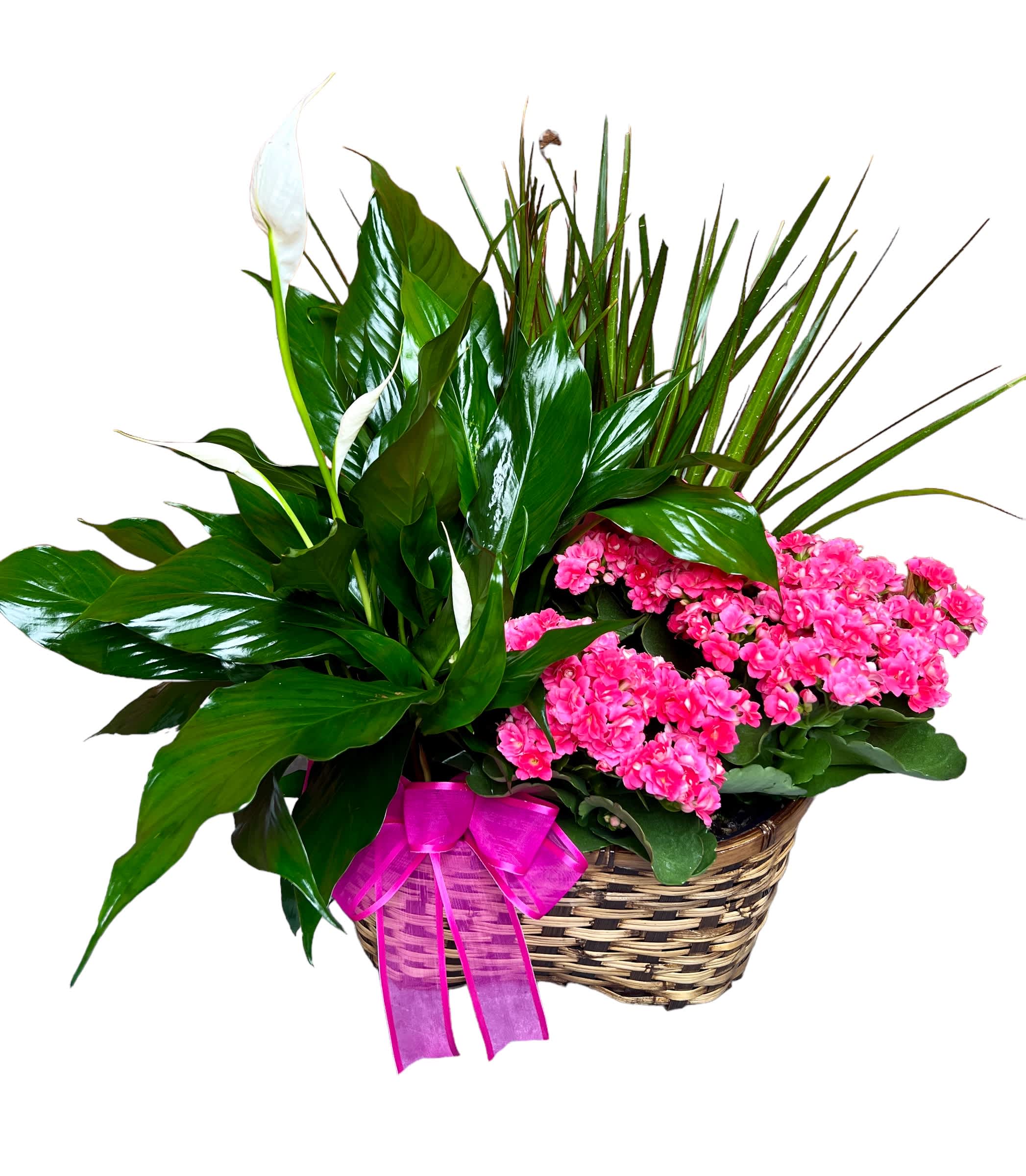 Planter with leafy green plants, a white bloom, and bright pink flowers in a woven basket with a pink bow.