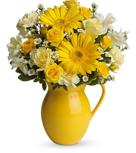 Teleflora's Sunny Day Pitcher of Cheer - This bouquet is just bright for any occasion! A bright and sunny medley of flowers is hand-delivered in a brilliant ceramic pitcher that can be joyfully used over and over again. Light yellow roses and carnations yellow spray roses gerberas and alstroemeria white monte cassino asters and pittosporum arrive in an exclusive yellow keepsake pitcher. Now that's what we call pitcher perfect!Approximately 13" W x 15 1/2" H Orientation: One-Sided As Shown : T57-1ADeluxe : T57-1BPremium : T57-1C