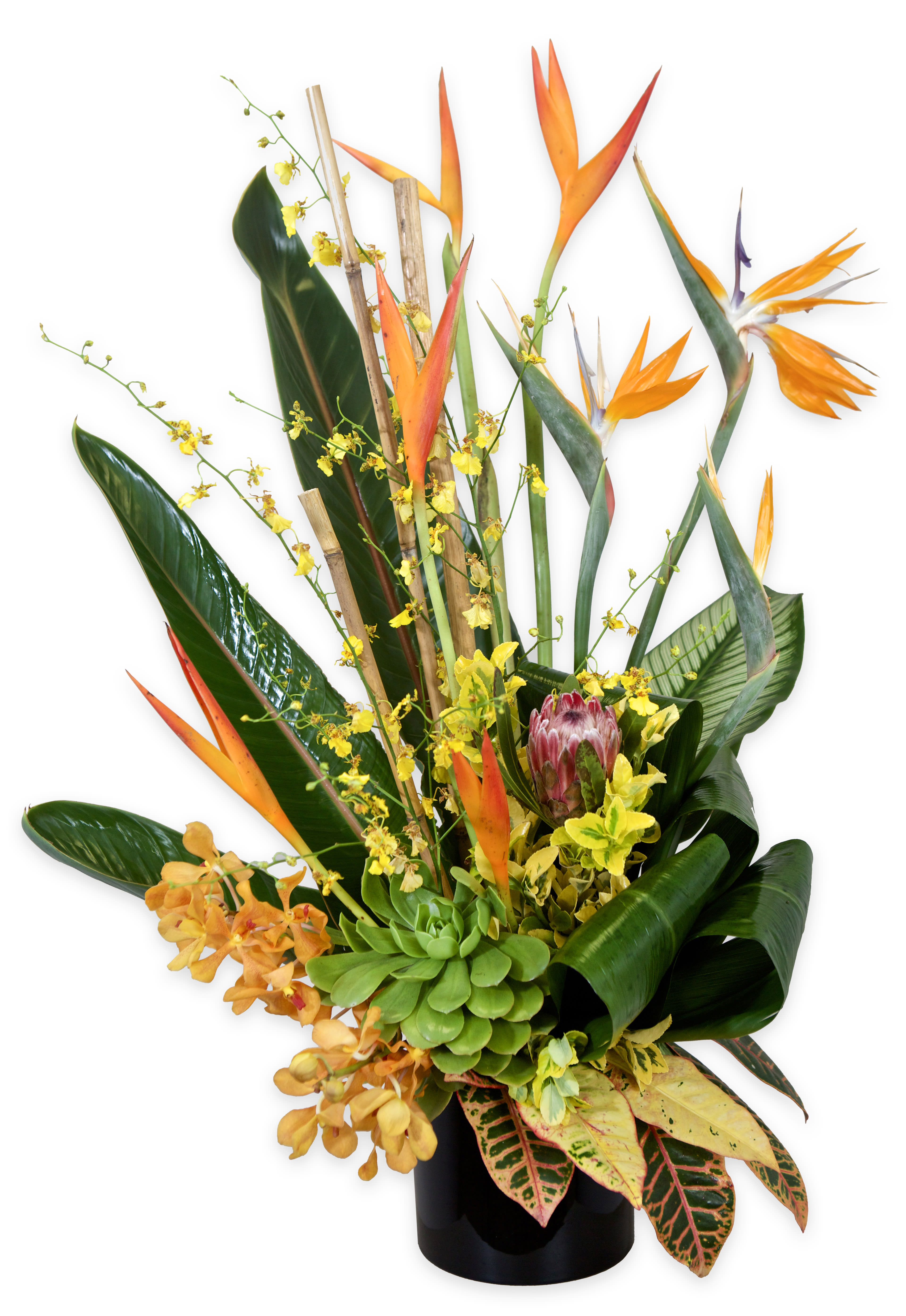 Tropical flower arrangement with orange bird-of-paradise blooms in a black vase