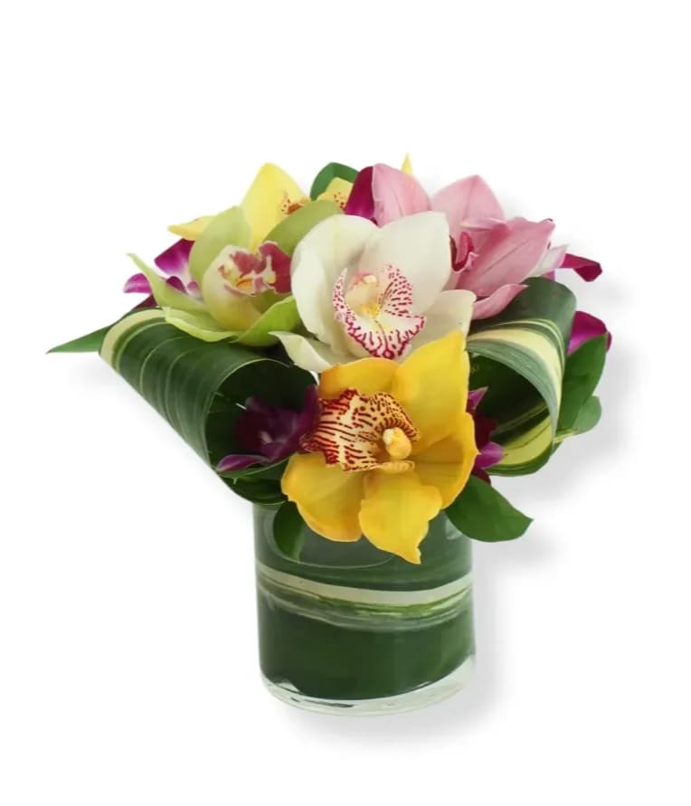 Bouquet of colorful orchids in a glass vase