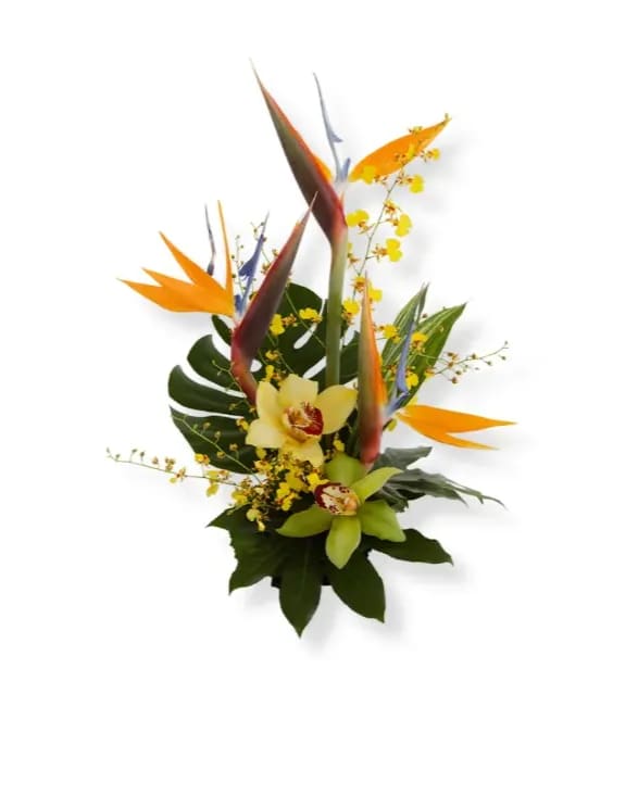 Tropical bouquet with bird-of-paradise and orchids