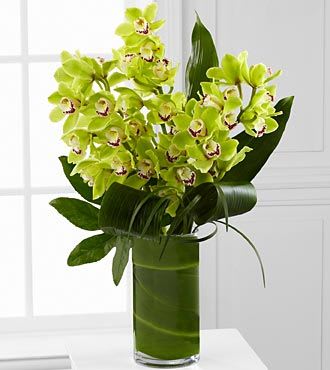 Green orchid arrangement in a tall glass vase