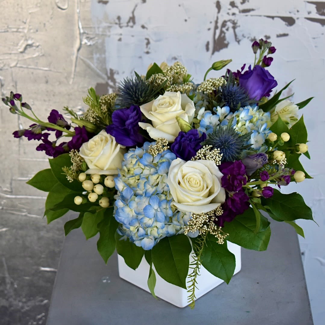 She Deserves The World - This perfect blend of coastal hues boasts blue hydrangea, white roses, purple stock, purple lisianthus, white hypericum, thistle, white alstromeria and white riceflower in a white cubic vessel.
