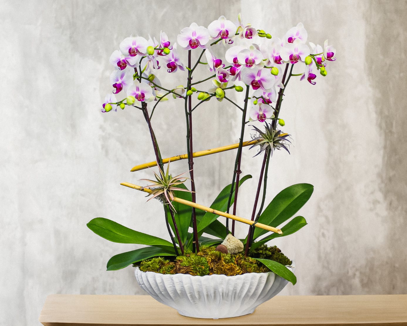 White and purple orchids arranged in a white bowl planter