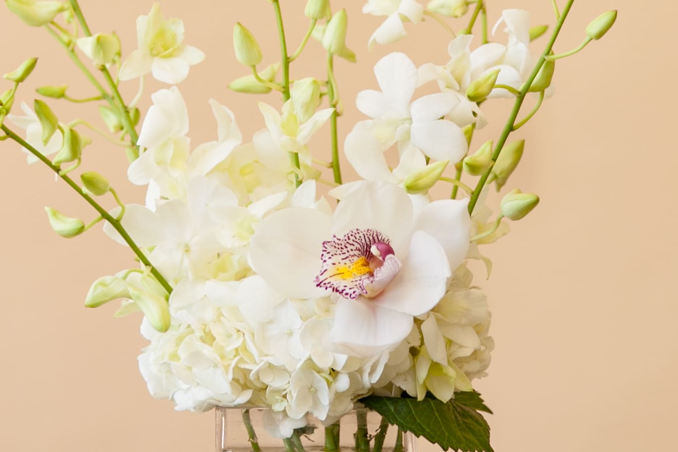 White orchids and hydrangeas in a clear glass vase