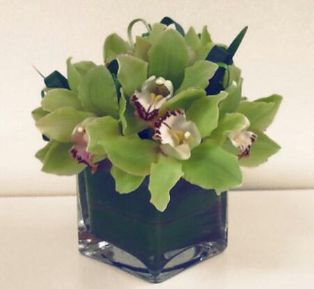 Crisp Cube - A clean and crisp petite arrangement featuring green cymbidium orchids in a leaf wrapped cube.