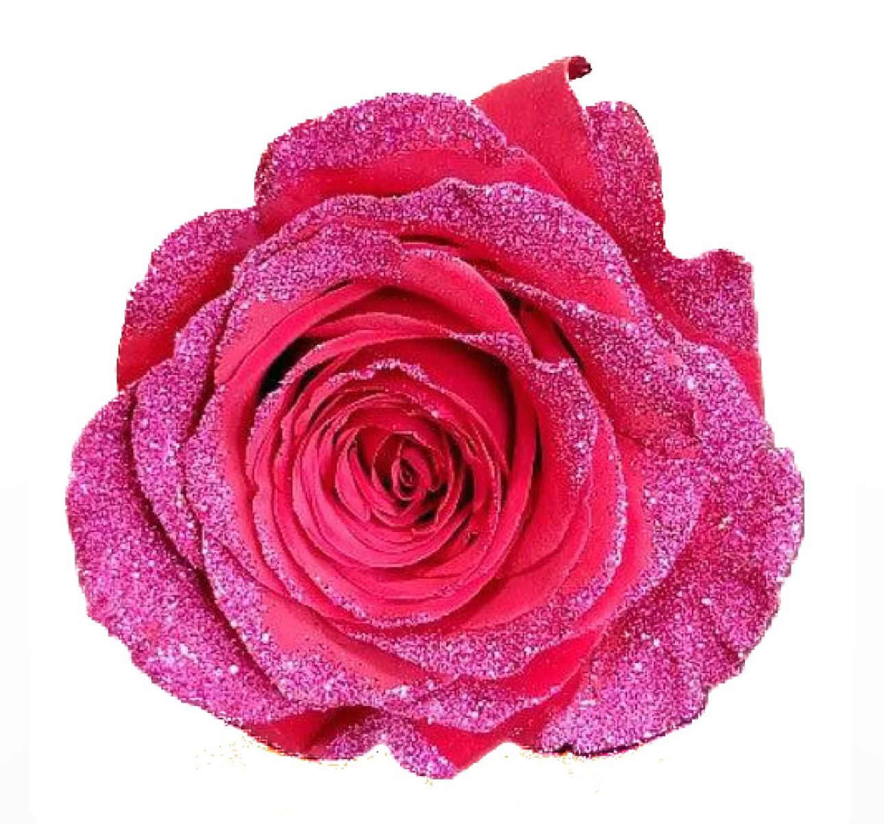 Pink Glitter Roses in a Hand Wrapped Bouquet - Hot Pink Glitter Roses 