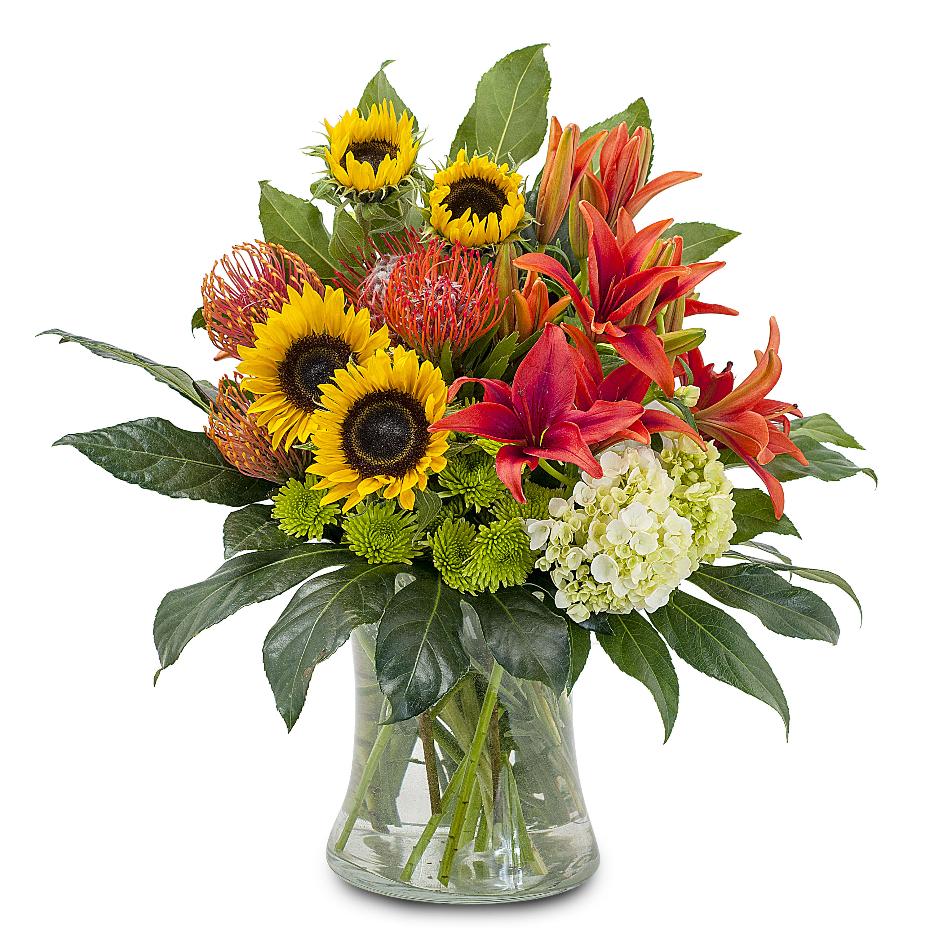 Harvest Sun TMF-334 - Bright orange Lilies and Pin Cushion Protea, mixed with lovely yellow Sunflowers make a bold statement. Approximately 8" W X 14" H