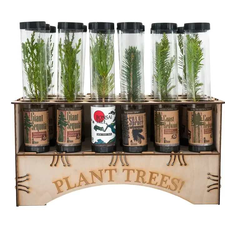 PLANT-A-TREE - Celebrate Life or Memorialize a Loved One — One Tree at a Time. Whether you’re honoring a new beginning or remembering a life well lived, planting a tree is a timeless gesture of love, growth, and renewal.   From The Jonsteen Company — trees with meaning.