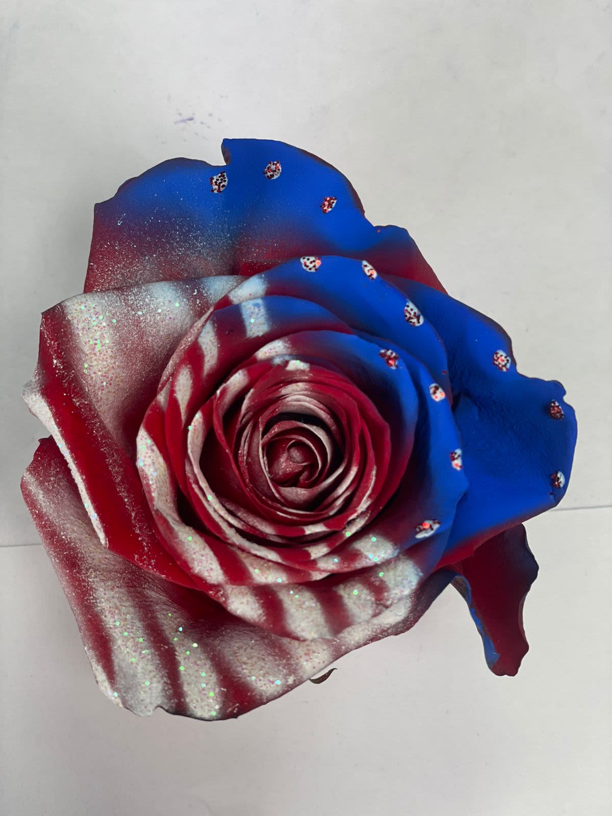 Patriotic Pride Rose Bouquet (12 ROSES)  - Celebrate with a stunning patriotic rose bouquet from Floral Concepts. Featuring red, white, and blue rose, this arrangement is perfect for 4th of July, Memorial Day, Veteran's Day, and other patriotic events." "Patriotic roses, red white blue roses, 4th of July flowers, Memorial Day flowers, Veteran's Day flowers, patriotic bouquet, rose arrangement, floral Concepts"  #PatrioticFlowers #RedWhiteAndBlueRoses #4thOfJulyFlower #MemorialDayFlowers #VeteransDayFlowers #FloralArrangement #FloralConcepts