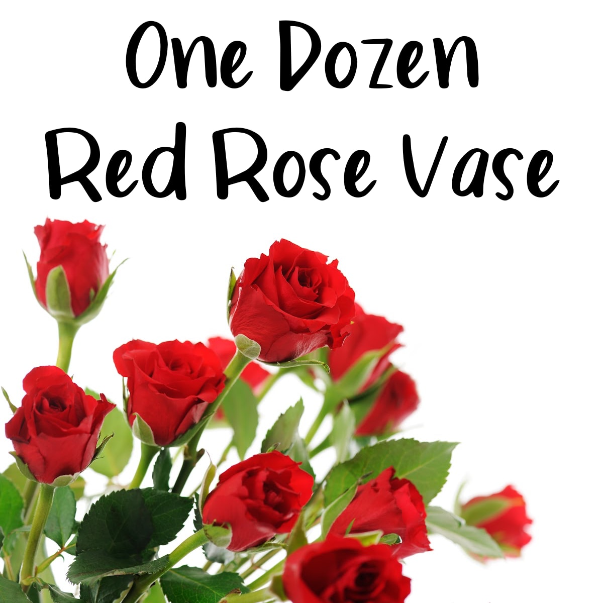 One Dozen Red Rose Vase - Arrangement comes with one dozen red roses, accent flowers and a beautiful bow.
