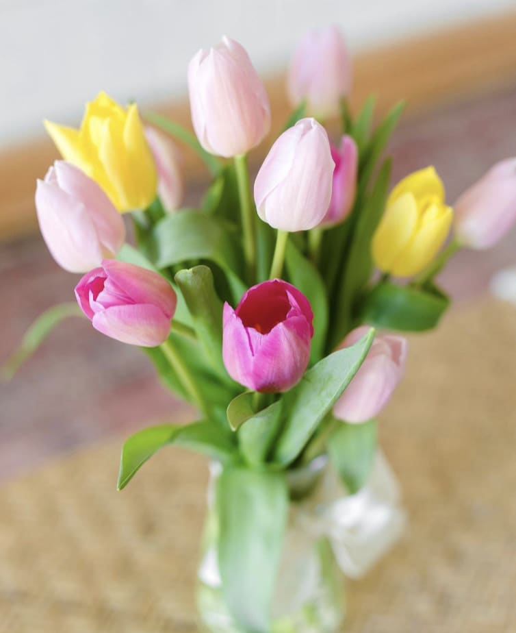 Vase of pink and yellow tulips tied with a white ribbon