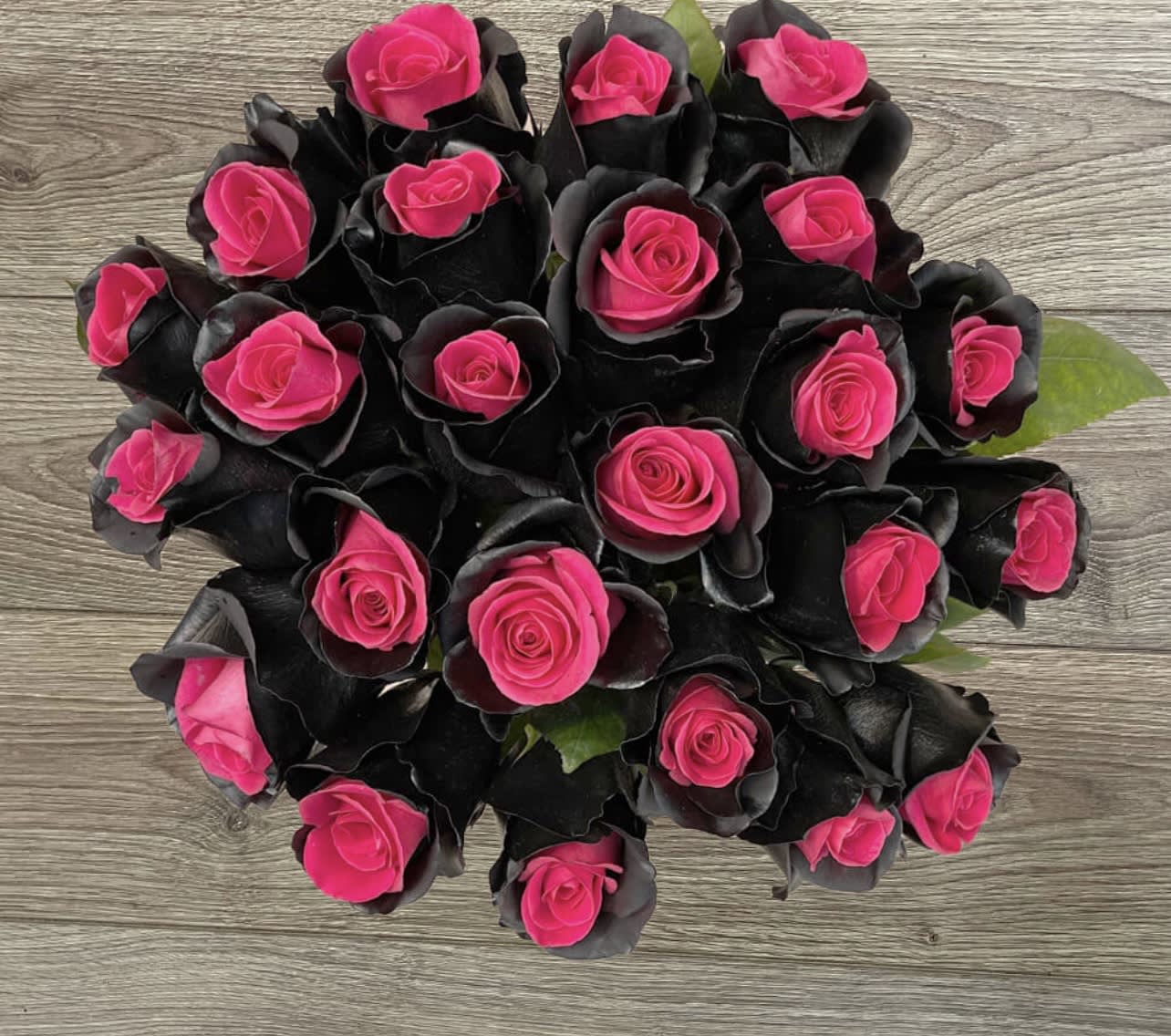 Bouquet of hot pink roses with dark black petals