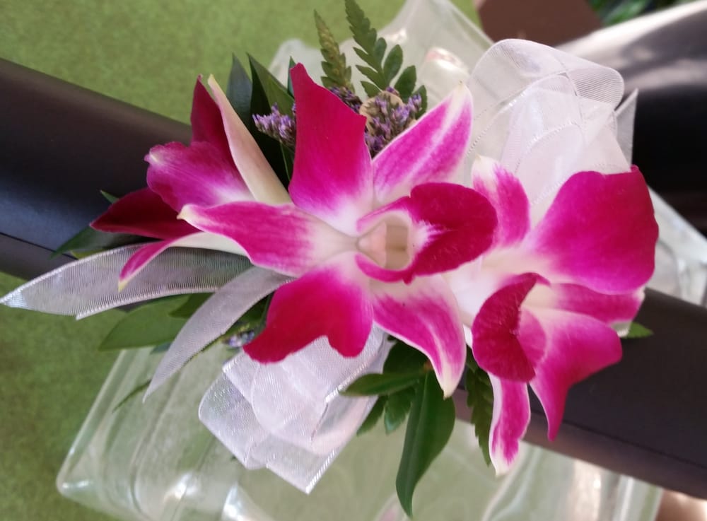 Pink and white orchid corsage with ribbon and greenery