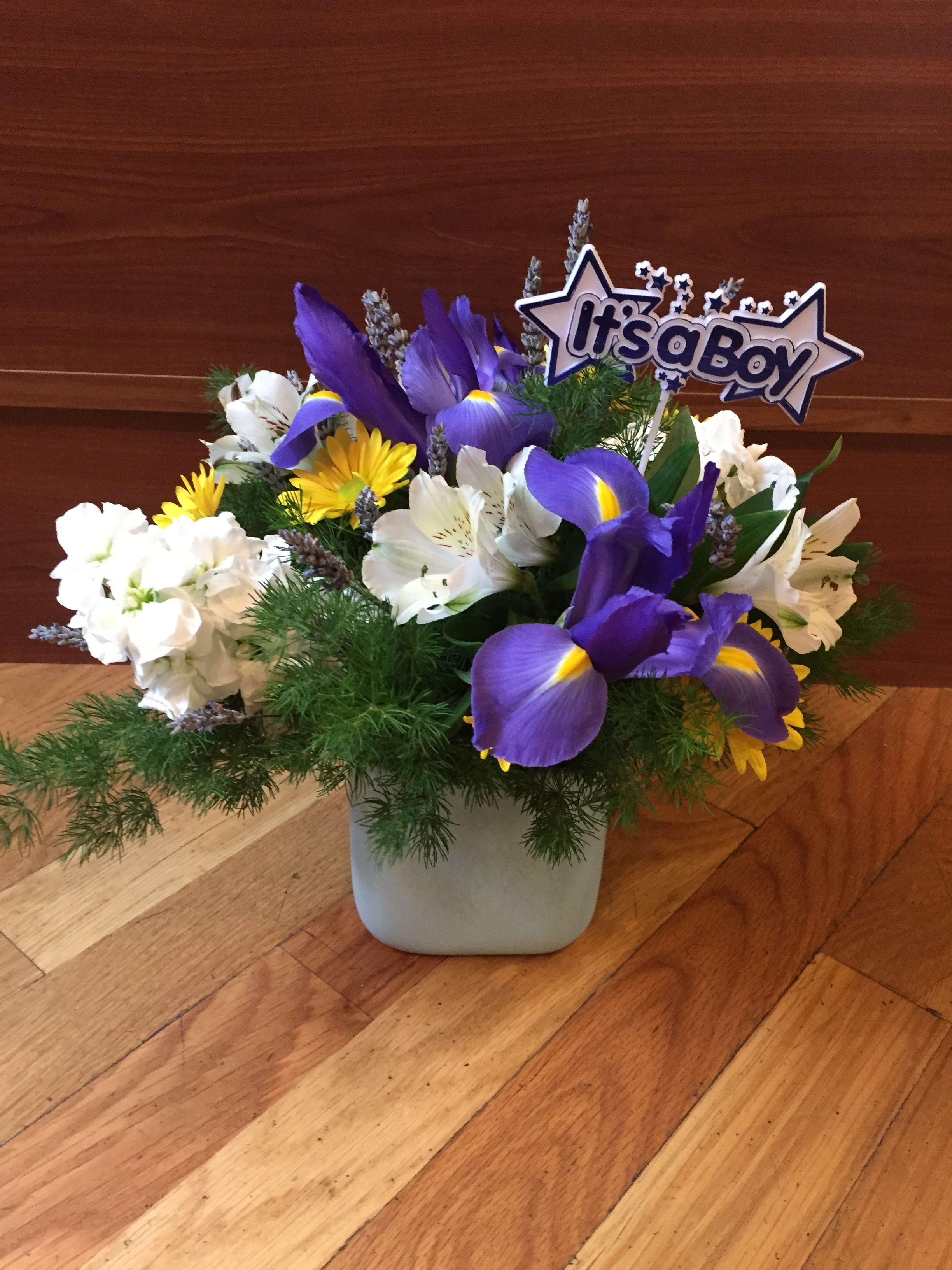 its a boy  - This arrangement includes daisy, iris, stock, and with a "its a boy" pick 
