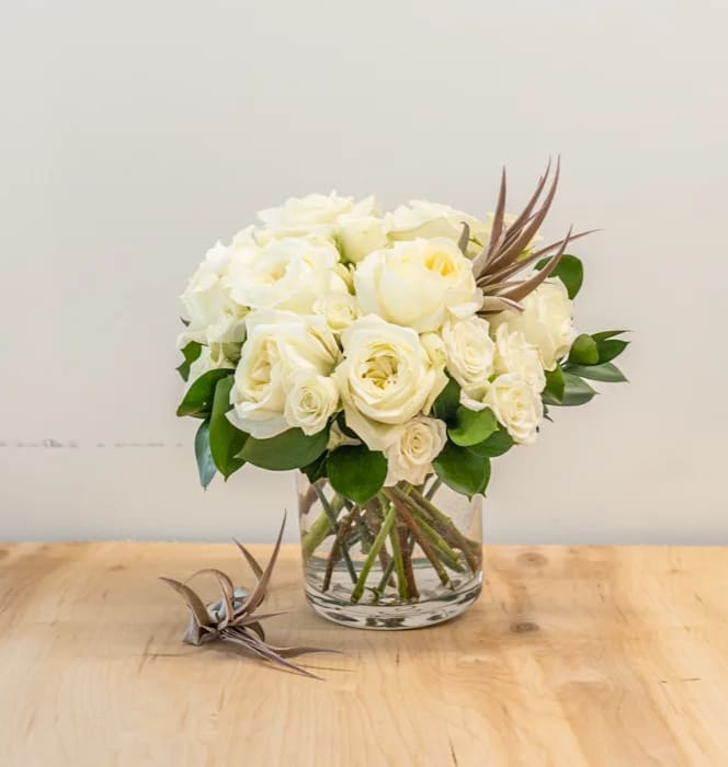 The White Rose - Make a bold statement with this elegantly simple design. White roses symbolize hope, honor, adoration, and innocence. The White Roses is the perfect gift to welcome new beginnings or show your respects.    Arrangement Details:  White Roses in an elegant leaf wrapped cylinder vase. APPROXIMATE DIMENSIONS are 11"D X 12"H