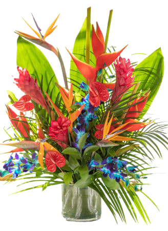 Tropical bouquet in a glass vase with red and orange bird-of-paradise flowers