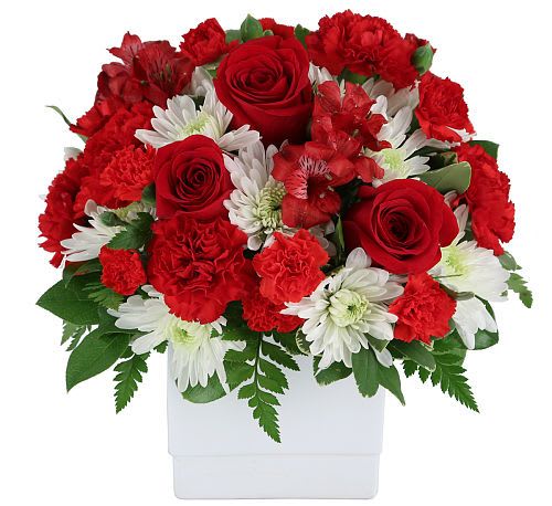 Endless Love Valentine’s Arrangement - Celebrate the timeless beauty of love with the Endless Love Valentine’s Arrangement, a stunning floral display designed to captivate hearts. This striking bouquet features a passionate mix of velvety red roses and vibrant red carnations, elegantly paired with crisp white chrysanthemums and delicate alstroemeria. The contrast of bold reds and pure whites symbolizes the perfect balance of passion and purity in love.  Presented in a sleek, modern black box, this arrangement exudes sophistication and elegance, making it the perfect gift for your Valentine. Whether it’s for a romantic partner, a close friend, or a family member, the Endless Love Arrangement speaks volumes without saying a word.  Why It’s Perfect for Valentine’s Day:  Red Roses &amp; Carnations: Timeless symbols of love, admiration, and passion.  White Chrysanthemums: Represent purity, loyalty, and long-lasting affection.  Chic Black Box Presentation: A modern twist that adds elegance and bold contrast.  Full, Lush Design: Overflowing with fresh, vibrant blooms to make a lasting impression.  Perfect For: Romantic gestures and anniversaries Thoughtful surprises for loved ones Elegant centerpieces for Valentine’s Day celebrations Surprise your special someone with the Endless Love Valentine’s Arrangement—because true love deserves to be celebrated beautifully. ️
