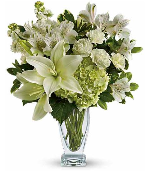 Purest Love Flower  -  Pet Friendly? No - This arrangement contains Asiatic Lilies, which are highly toxic to cats and can cause kidney failure even in small amounts.  Keep out of reach; avoid homes with curious cats.   Human Allergy Note : Warning: This arrangement contains Asiatic Lilies and Stock, which produce visible pollen and scent that may trigger sensitivities. We recommend removing the lily anthers (the pollen-bearing tips) as they open and keeping the vase in a well-ventilated area.   Care &amp; Longevity : To keep these white blooms pristine, trim the stems at an angle and place them in a clean vase with fresh water immediately. Change the water every two days and keep the arrangement away from direct sun, heat sources, or cold vents. Remove fading blooms like Alstroemeria as they age to keep the rest of the bouquet healthy.    Best Occasions &amp; Situations : - Sympathy or funeral service - Thinking of you - Get well / comfort - Elegant birthday - Sincere congratulations   Why Customers Love It : - Timeless Elegance: The all-white palette is sophisticated and never goes out of style. - Textural Variety: A beautiful mix of ruffled Carnations and smooth Lilies. - Premium Vase: Delivered in a shapely, high-quality Couture glass vase. - Versatile Vibe: Appropriate for both celebratory and somber occasions.